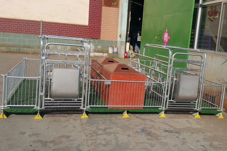 Сергия за отглеждане на прасе 22 Pig Farrowing stall 22