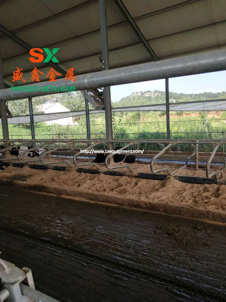 Свободен щанд на ферма за крави